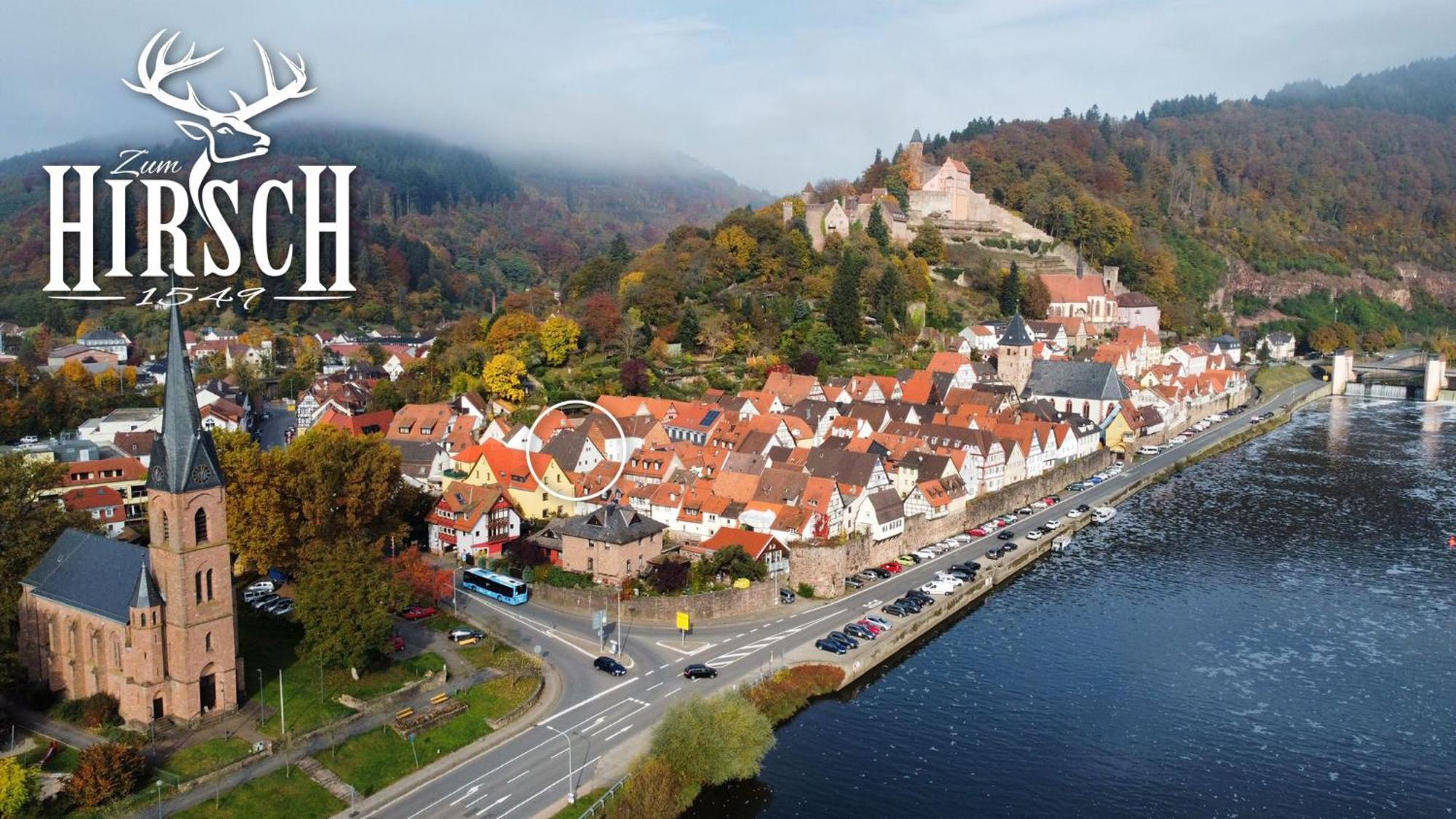 Appartement Schlossberg, Gasthaus Hirsch Гіршгорн Екстер'єр фото